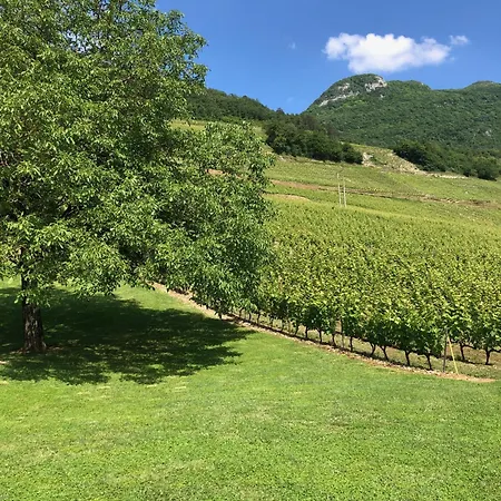 La Mondeuse - Chateau De La Mar *